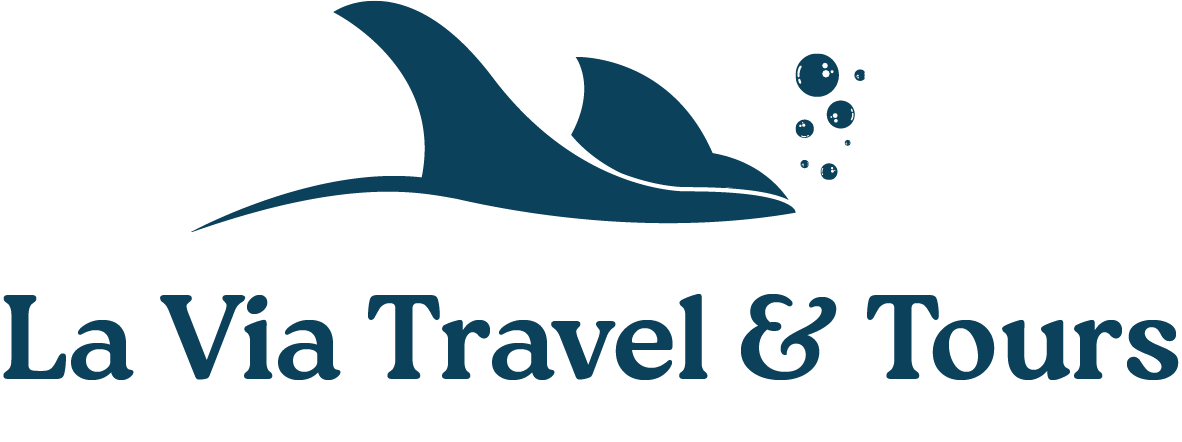 Divers exploring a Maldivian reef